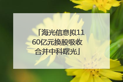 海光信息拟1160亿元换股吸收合并中科曙光