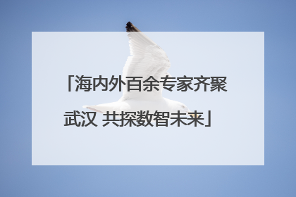 海内外百余专家齐聚武汉 共探数智未来