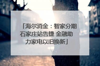 海尔消金：智家分期石家庄站告捷 金融助力家电以旧换新