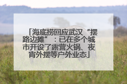 海底捞回应武汉“摆路边摊”：已在多个城市开设了露营火锅、夜宵外摆等户外业态