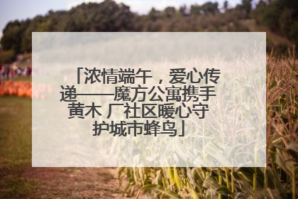 浓情端午，爱心传递——魔方公寓携手黄木 厂社区暖心守护城市蜂鸟