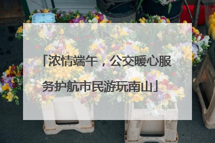 浓情端午，公交暖心服务护航市民游玩南山