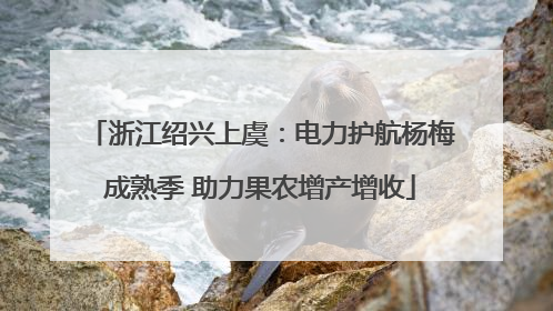 浙江绍兴上虞：电力护航杨梅成熟季 助力果农增产增收