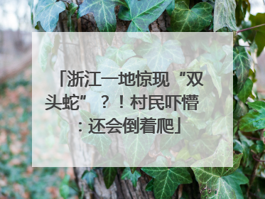 浙江一地惊现“双头蛇”？！村民吓懵：还会倒着爬