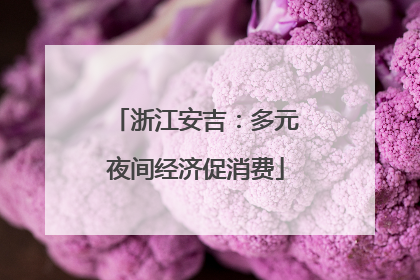浙江安吉：多元夜间经济促消费