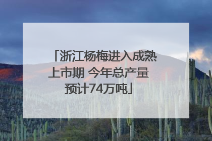 浙江杨梅进入成熟上市期 今年总产量预计74万吨