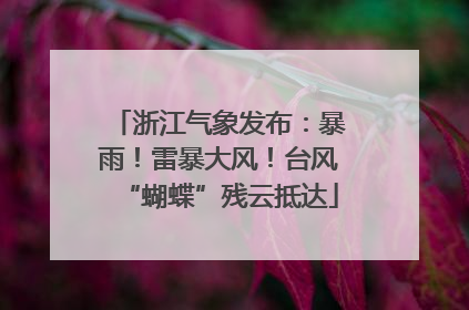 浙江气象发布：暴雨！雷暴大风！台风“蝴蝶”残云抵达