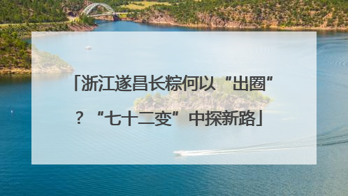 浙江遂昌长粽何以“出圈”？“七十二变”中探新路