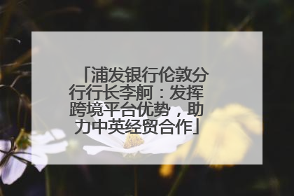 浦发银行伦敦分行行长李舸：发挥跨境平台优势，助力中英经贸合作
