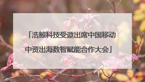 浩鲸科技受邀出席中国移动中资出海数智赋能合作大会