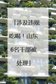 涉及违规吃喝！山东6名干部被处理