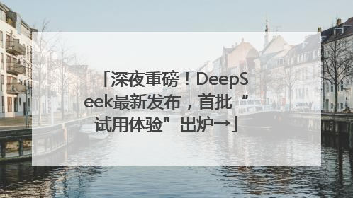 深夜重磅！DeepSeek最新发布，首批“试用体验”出炉→
