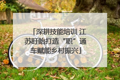 深耕技能培训 江苏盱眙打造“职”通车赋能乡村振兴