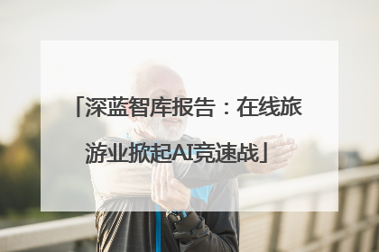 深蓝智库报告：在线旅游业掀起AI竞速战