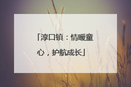 淳口镇：情暖童心，护航成长