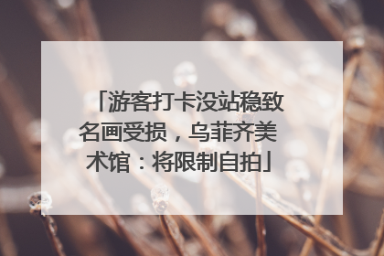 游客打卡没站稳致名画受损，乌菲齐美术馆：将限制自拍