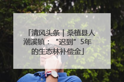 清风头条｜桑植县人潮溪镇：“迟到”5年的生态林补偿金