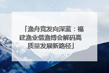 渔舟竞发向深蓝：福建渔业借渔博会解码高质量发展新路径
