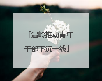 温岭推动青年干部下沉一线