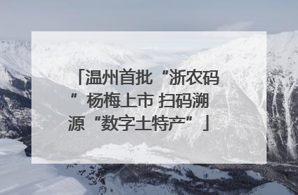 温州首批“浙农码”杨梅上市 扫码溯源“数字土特产”