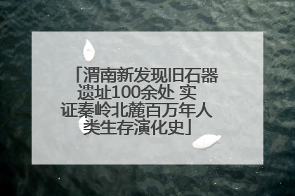 渭南新发现旧石器遗址100余处 实证秦岭北麓百万年人类生存演化史