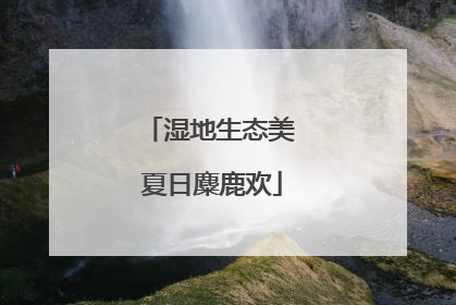 湿地生态美 夏日麋鹿欢