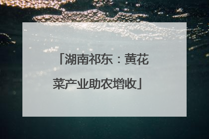 湖南祁东：黄花菜产业助农增收