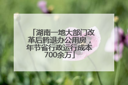 湖南一地大部门改革后腾退办公用房，年节省行政运行成本700余万