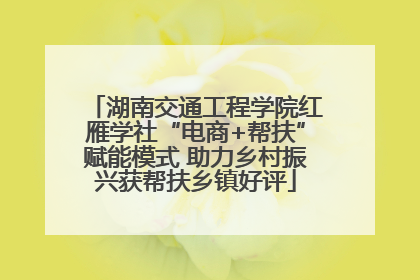 湖南交通工程学院红雁学社“电商+帮扶”赋能模式 助力乡村振兴获帮扶乡镇好评