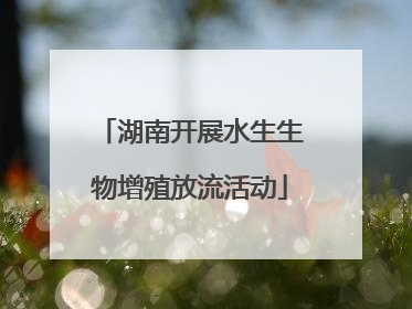 湖南开展水生生物增殖放流活动
