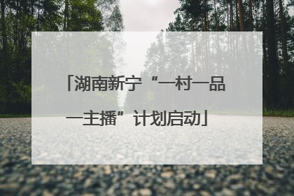 湖南新宁“一村一品一主播”计划启动