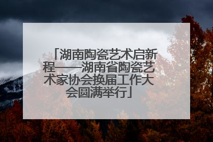 湖南陶瓷艺术启新程——湖南省陶瓷艺术家协会换届工作大会圆满举行