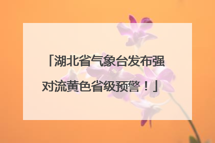 湖北省气象台发布强对流黄色省级预警！