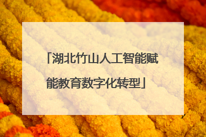 湖北竹山人工智能赋能教育数字化转型