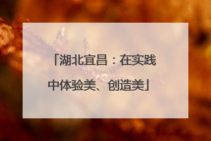 湖北宜昌：在实践中体验美、创造美