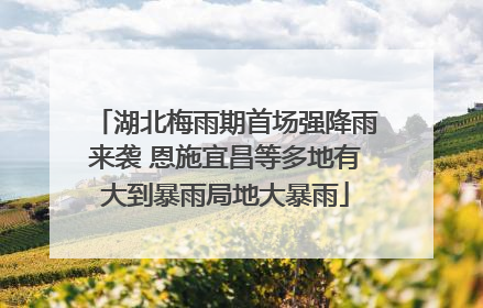 湖北梅雨期首场强降雨来袭 恩施宜昌等多地有大到暴雨局地大暴雨