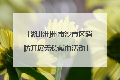 湖北荆州市沙市区消防开展无偿献血活动