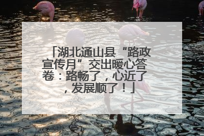 湖北通山县“路政宣传月”交出暖心答卷：路畅了，心近了，发展顺了！