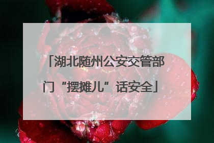 湖北随州公安交管部门“摆摊儿”话安全