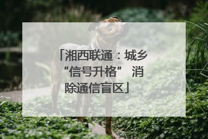 湘西联通：城乡“信号升格” 消除通信盲区