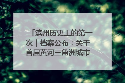 滨州历史上的第一次｜档案公布：关于首届黄河三角洲城市经济博览会暨发展论坛情况的总结报告