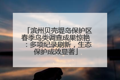 滨州贝壳堤岛保护区春季鸟类调查成果惊艳：多项纪录刷新，生态保护成效显著