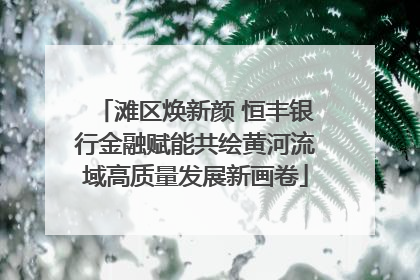 滩区焕新颜 恒丰银行金融赋能共绘黄河流域高质量发展新画卷