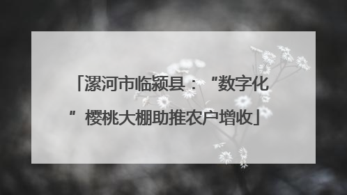 漯河市临颍县：“数字化”樱桃大棚助推农户增收