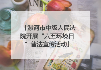 漯河市中级人民法院开展“六五环境日”普法宣传活动