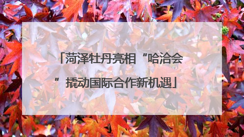 菏泽牡丹亮相“哈洽会”撬动国际合作新机遇