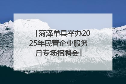 菏泽单县举办2025年民营企业服务月专场招聘会