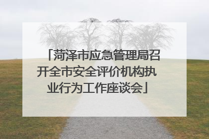 菏泽市应急管理局召开全市安全评价机构执业行为工作座谈会