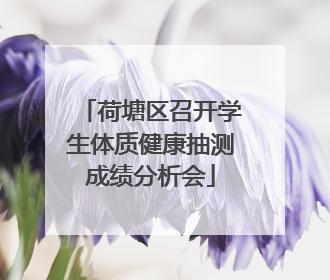 荷塘区召开学生体质健康抽测成绩分析会