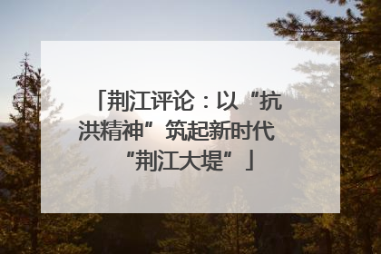 荆江评论：以“抗洪精神”筑起新时代“荆江大堤”